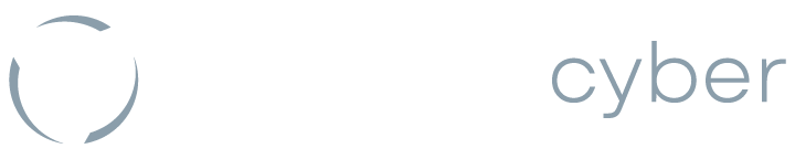 Vortacity-Cyber-White-Gray-Logo